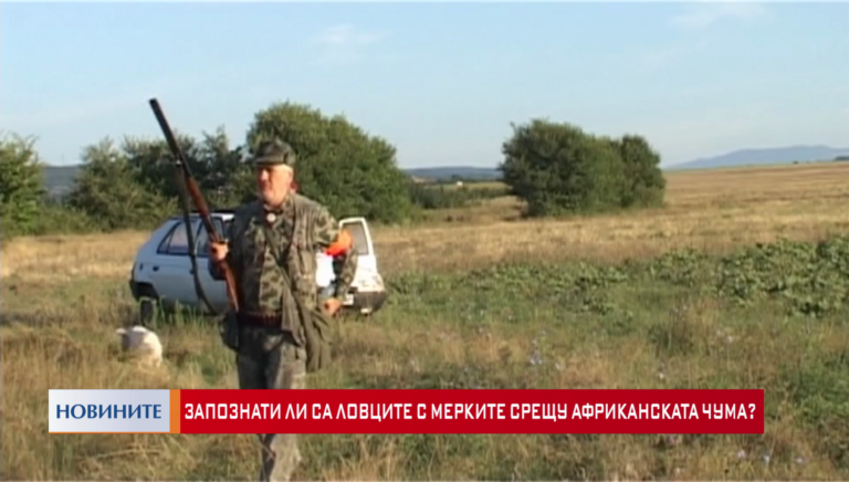 Запознати ли са ловците с мерките срещу африканската чума?