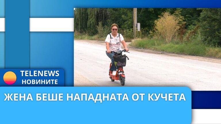 Жена беше нападната от бездомни кучета на пътя Ивайло-Сарая