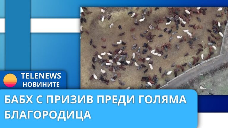 БАБХ с призив преди Голяма Богородица