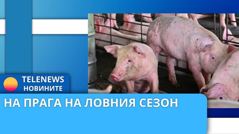 Актуална епизоотична обстановка за Африканска чума по свинете