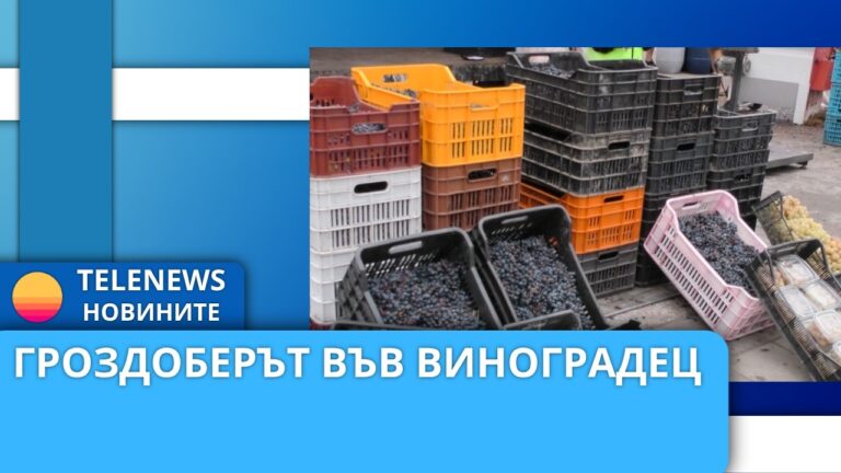Гроздоберът във Виноградец