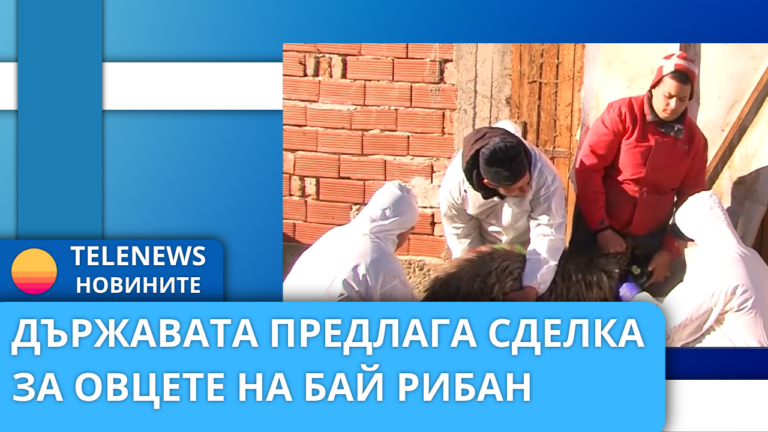 Държавата предлага сделка за овцете на Бай Рибан