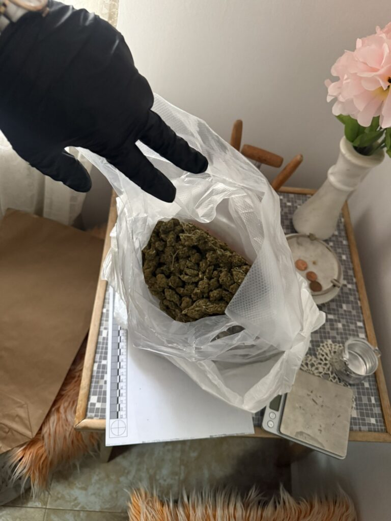 Поредни дилъри на наркотици задържани в областта