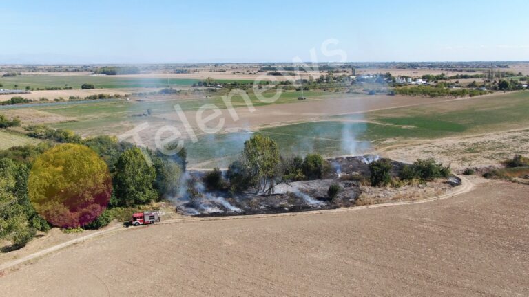 Пожар горя на пътя за село Ивайло